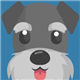 Data Puppy Litev1.2ٷʽ