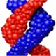 dnastarv7.1ٷʽ