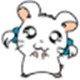IISվv2.1ٷʽ