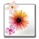 ʯӰǾCϹϵy(tng)v1.2ٷʽ