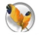wY܇S޹ϵy(tng)v6.01ٷʽ