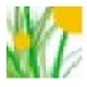 Їt(y)ˎƴȫv1.2.20130119ٷʽ